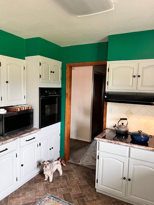 Stepping Out of Neutral: My Kitchen Color Story