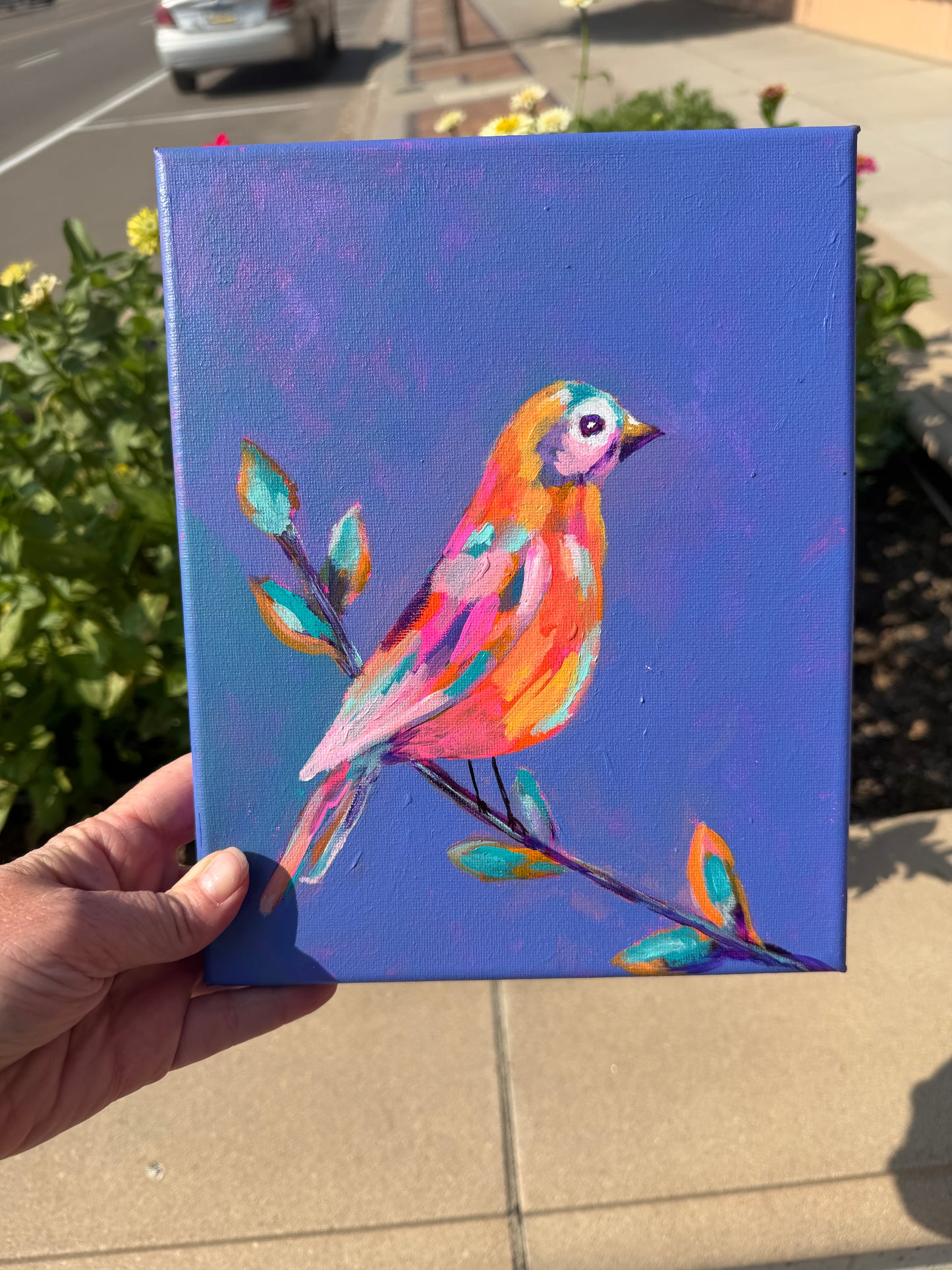 Bird