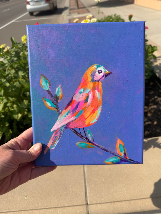 Bird